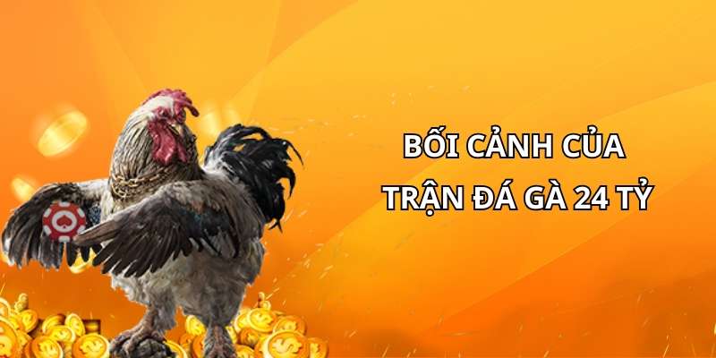 Bối cảnh diễn ra của trận đá gà 24 tỷ