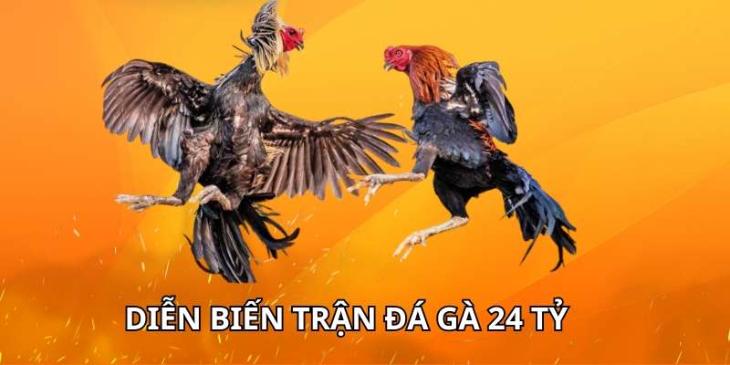 Diễn biến chi tiết của trận đá gà 24 tỷ