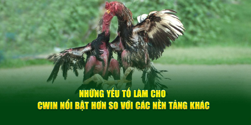 Những yếu tố làm cho Cwin nổi bật hơn so với các nền tảng khác.